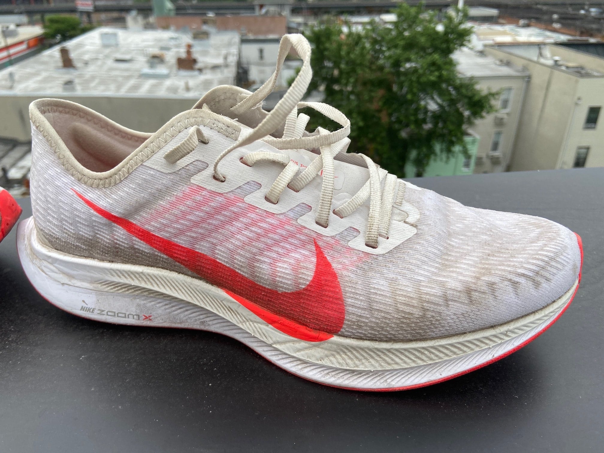 Picture of a pair of Nike Zoom Pegasus Turbo 2
